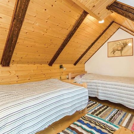 ApartmanZibar Skrad Bagian luar foto