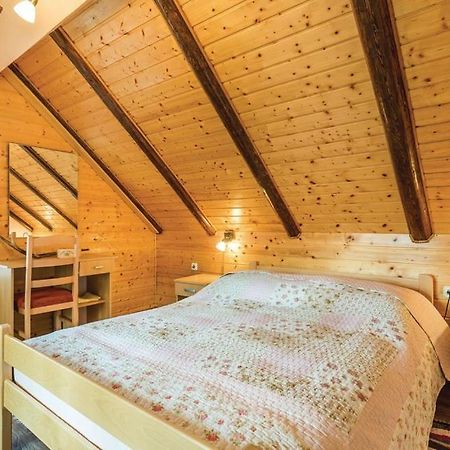 ApartmanZibar Skrad Bagian luar foto